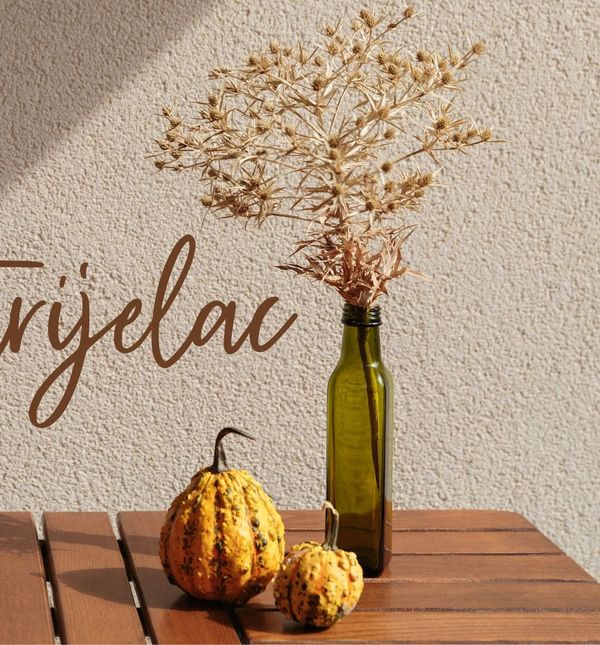 Mjesečni horoskop za studeni