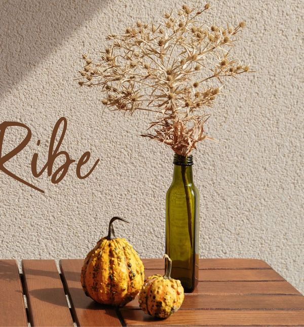 Mjesečni horoskop za studeni