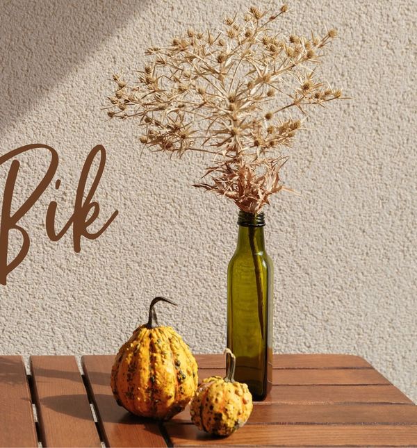 Mjesečni horoskop za studeni