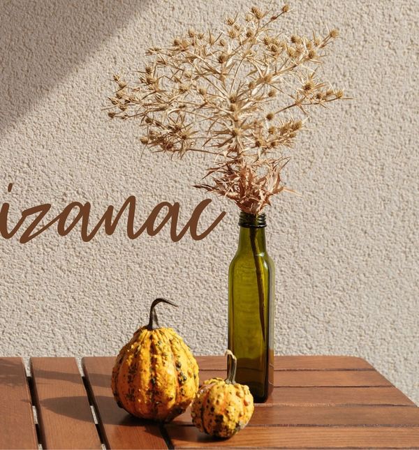 Mjesečni horoskop za studeni