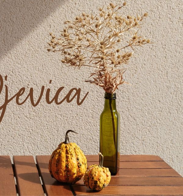 Mjesečni horoskop za studeni