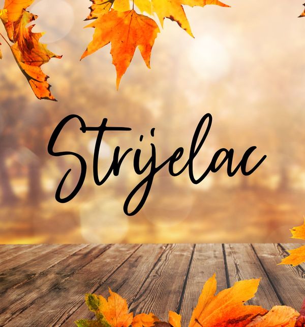 Tjedni horoskop za studeni