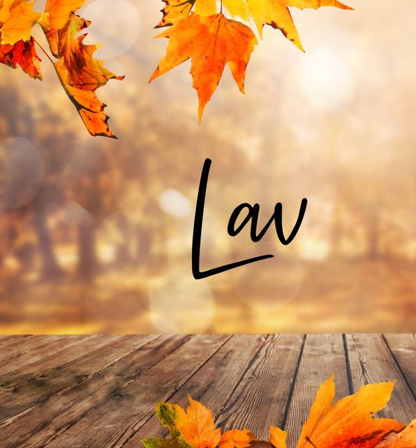 Tjedni horoskop za studeni