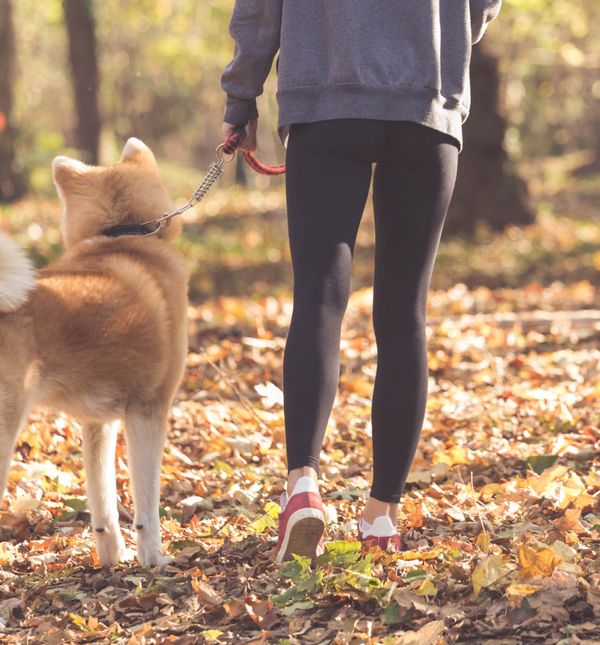 Hodanje poslije jela potiče protok krvi u udovima i organima