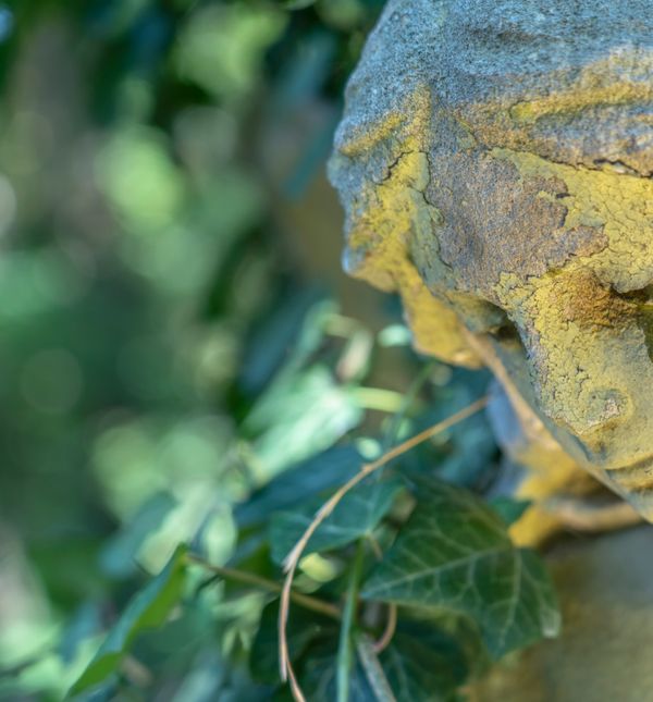 Dopustite si osjetiti emocije