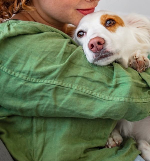 Psi itekako znaju kad nam je teško