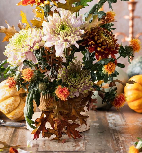 Pet biljaka koje unose jesensku toplinu u dom