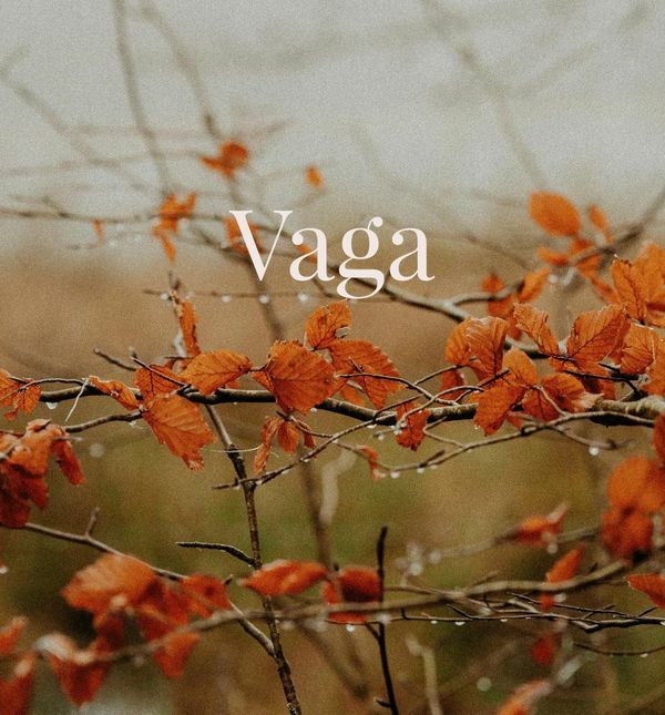 Vaga