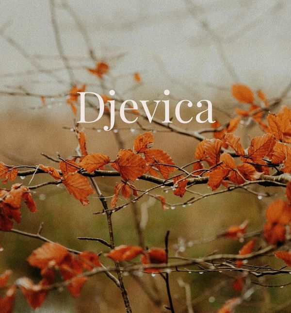 Djevica