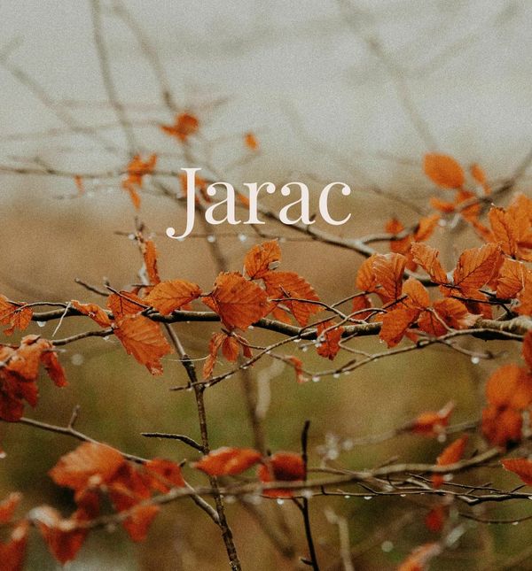 Jarac