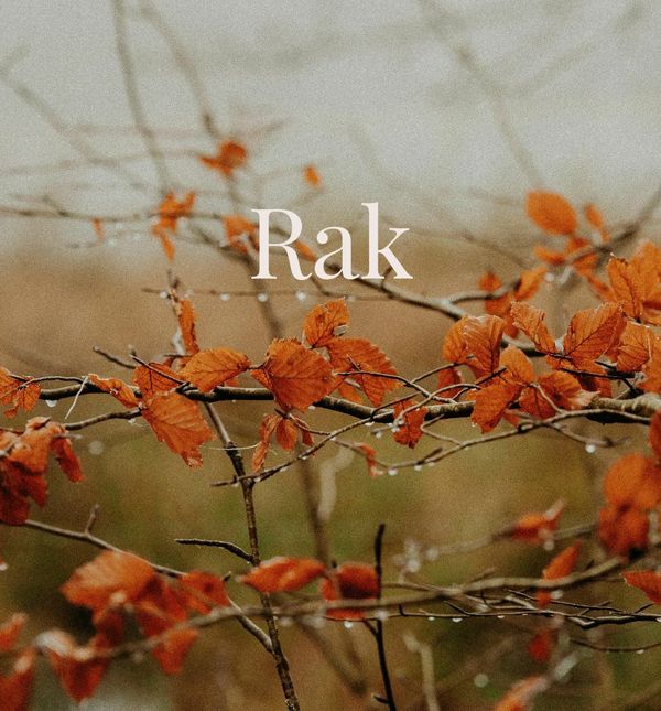 Rak