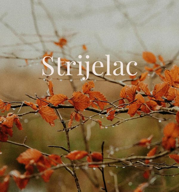 Strijelac