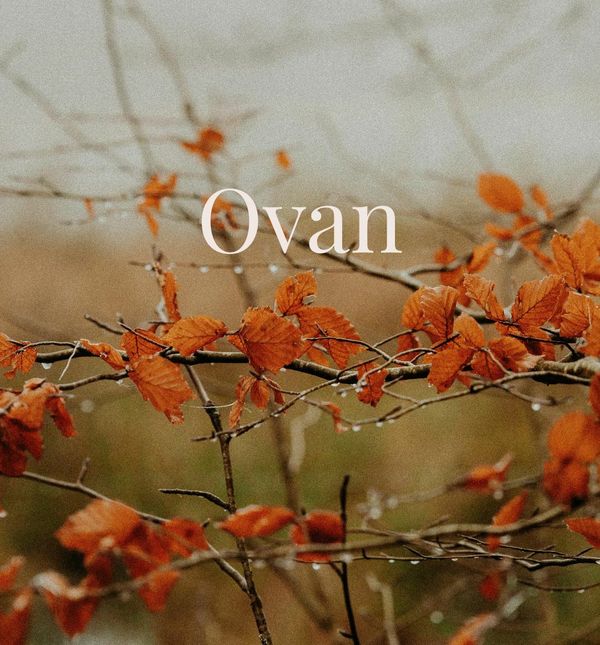 Tjedni horoskop za ovna: Sve djeluje jednostavnije