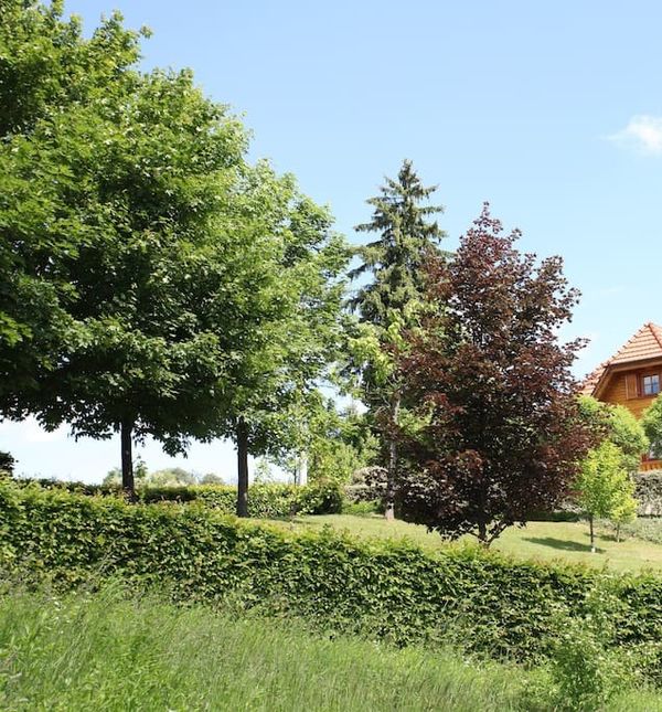 Park-kuća, Gornja Voća