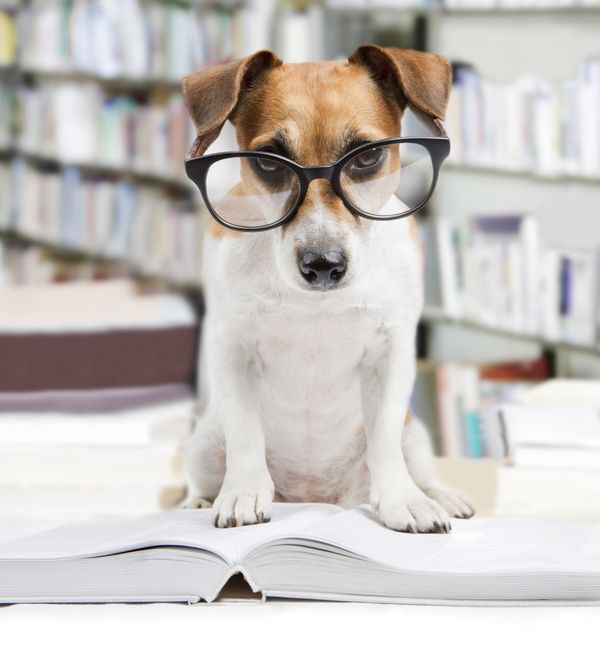 Korisnici Knjižnica grada Zagreba znaju biti jako kreativni prilikom traženja knjiga