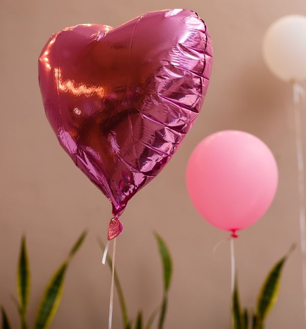 Osjećaj ljubavi prisutan je u cijelom tijelu