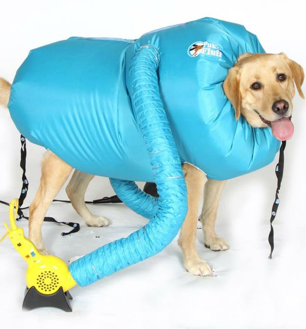 Vreća na napuhavanje u kojoj će se mokar pas brzinski osušiti