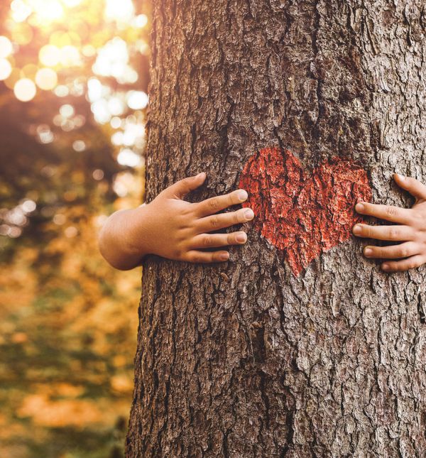 Visokoosjetljivoj djeci smetaju bučna mjesta te preferiraju tihu igru