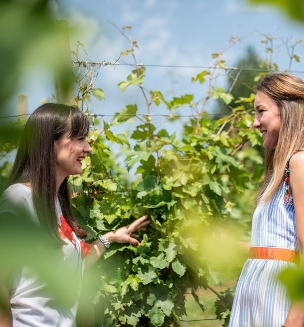 Glasanje za najbolji video traje do 15. rujna