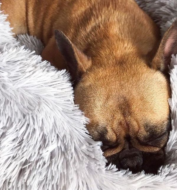 Krevetić za pse koji smiruje ljubimca izrađen je od visokokvalitetnog umjetnog krzna