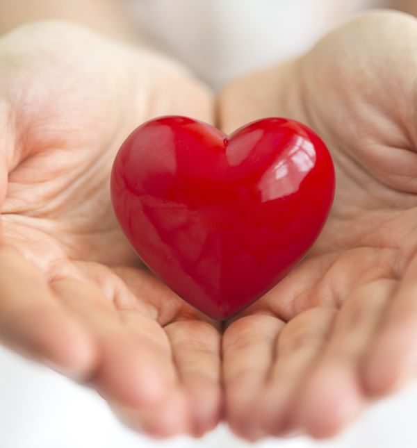 Srce je najvažniji mišić u tijelu