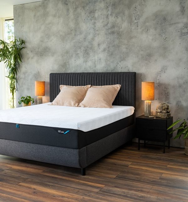 Tempur linija madraca i jastuka iz Harvey Normana
