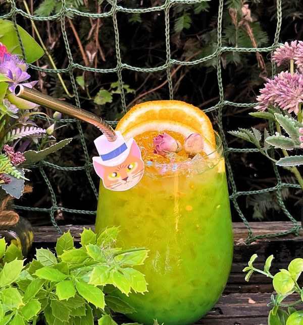 Anime ponuda u Cat Caffeu