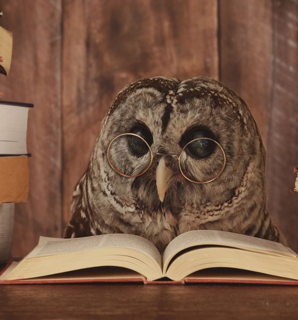 Četiri horoskopska znaka ističu se po svojoj mudrosti