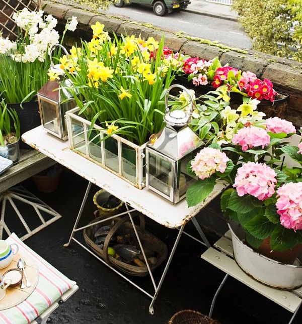 Ako ste primijetili da su vaše biljke napale gljivice, pivo je odličan fungicid