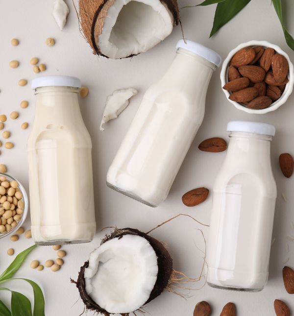 Različite vrste mlijeka