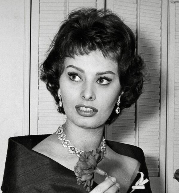 Sophia Loren