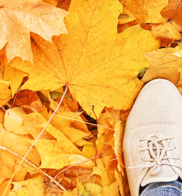 Jesen je počela u nedjelju 22. rujna