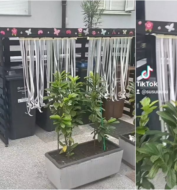 Kante za smeće na zagrebačkoj Trešnjevci