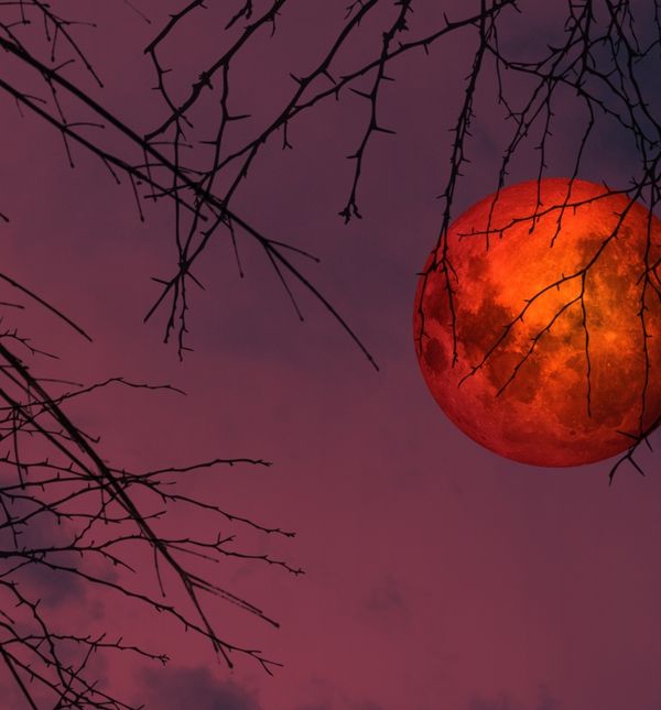 Čeka nas posebna potpuna pomrčina Mjeseca