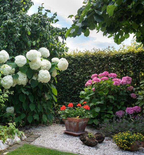 Neke vrste cvijeća ne treba orezivati u rujnu