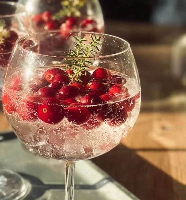 Džin tonik s brusnicama