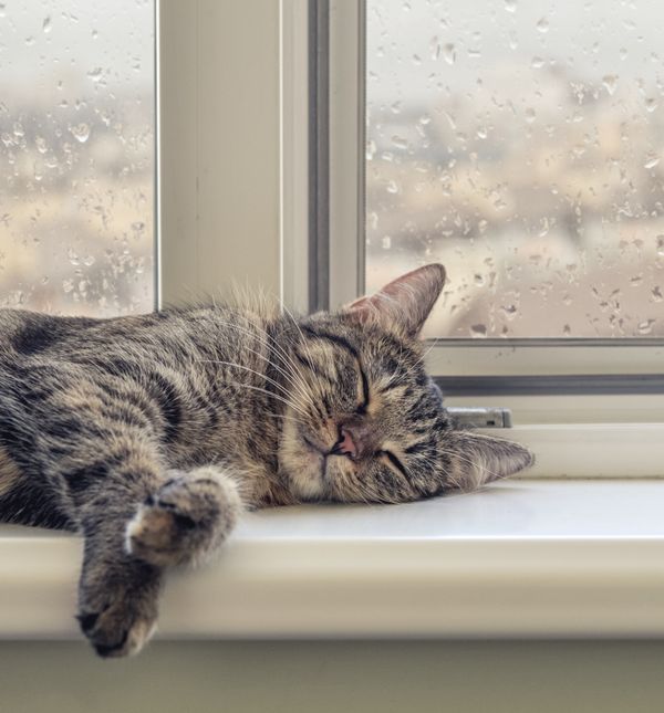 Mnogi za vrijeme kiše zaspu brže i spavaju mirnije