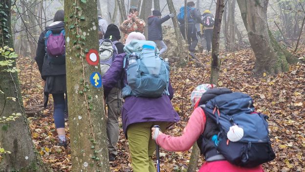 Camino Banovina - 23