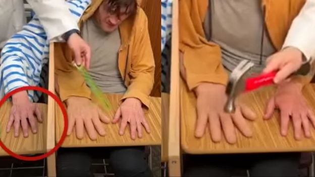 Znanstveni eksperiment s lažnom rukom