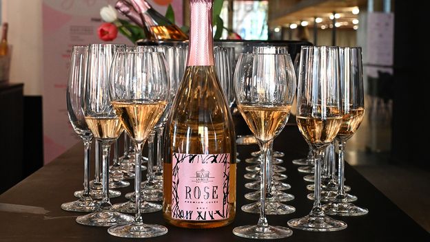 12. PINK DAY Zagreb festival - 2