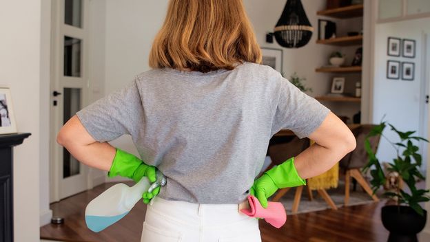 Koliko vrijedi posao domaćice?