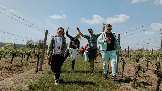 Ilok Wine&Walk 2025 - 3