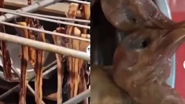 Pokvarena hrana i pripremljeni golubovi pronađeni u kineskom restoranu Jin Gu