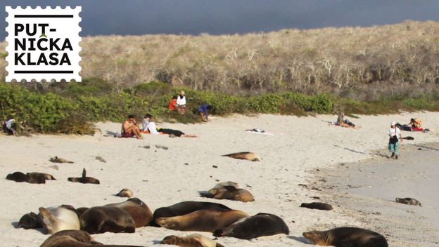 Galapagos - Putnička klasa