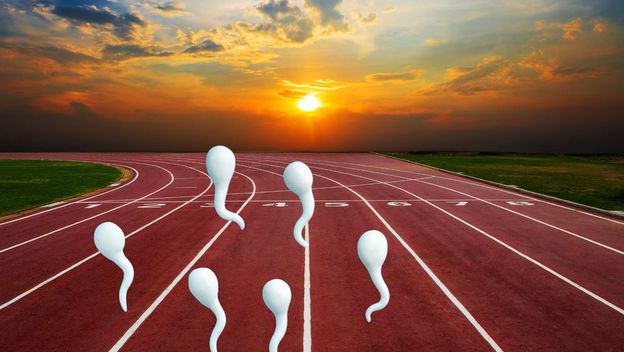 Atletska staza i spermiji koji se utrkuju