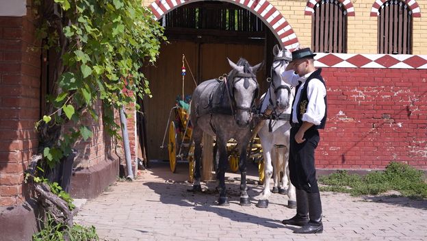 Coolturist Županja - 2