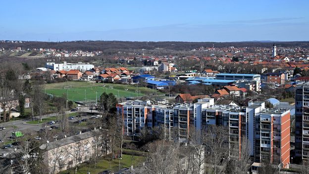 Dubrava iz zraka, ilustracija