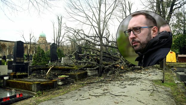 Šteta na Mirogoju i Tomislav Tomašević, ilustracija