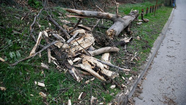 Šteta nakon oluje u Zagrebu