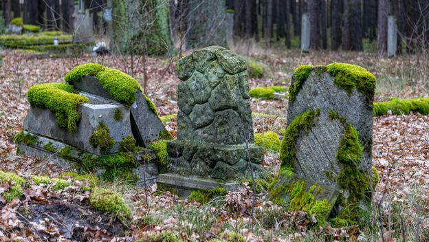 Mahovina na nadgrobnim spomenicima